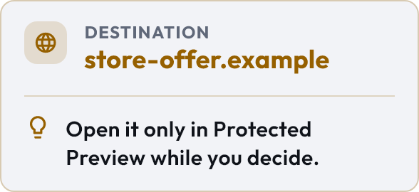 Protected Preview app detail with a destination and advice to inspect it while deciding.